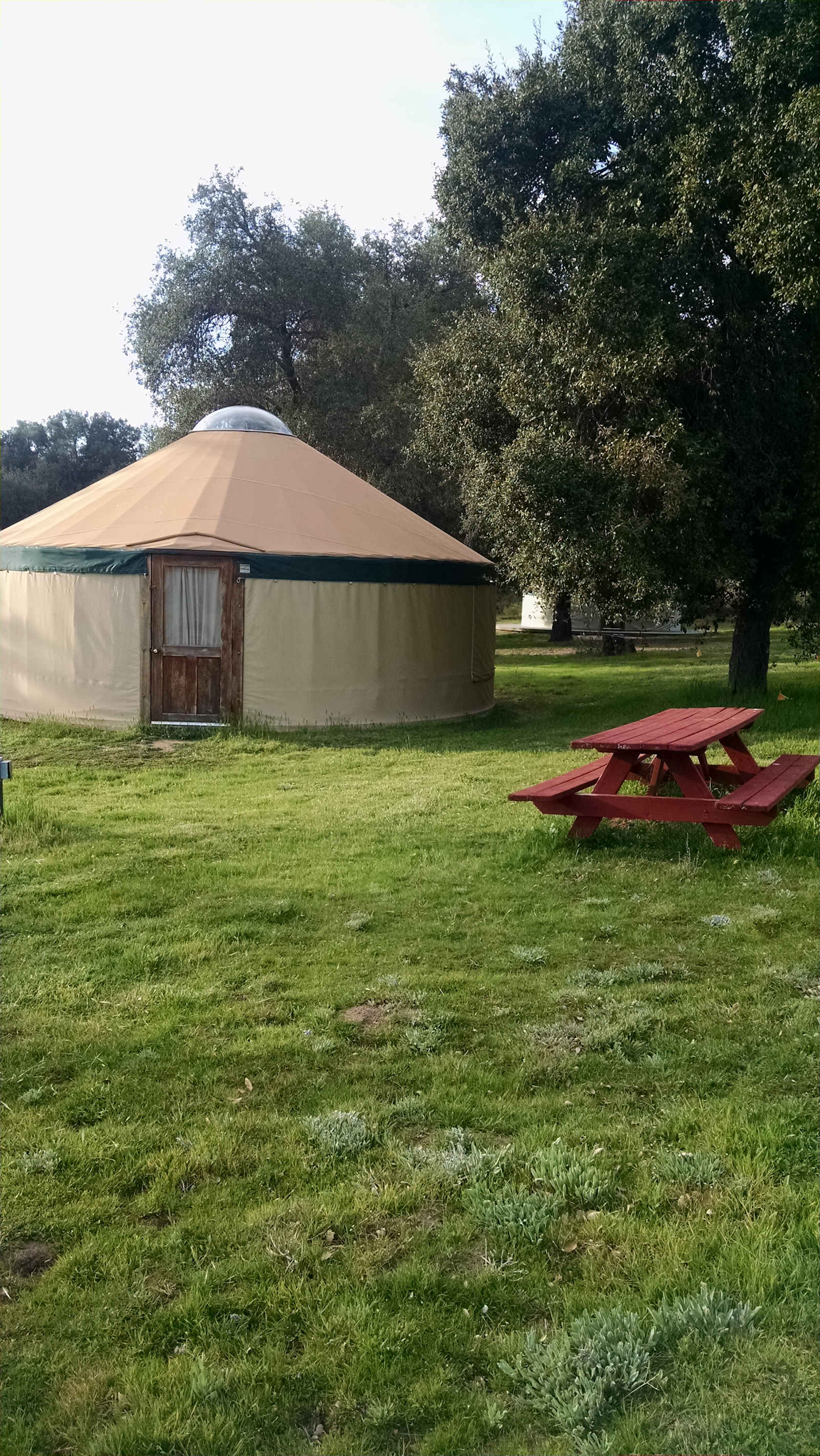 Stallion Oaks Ranch - Descanso, California - glamping.directory