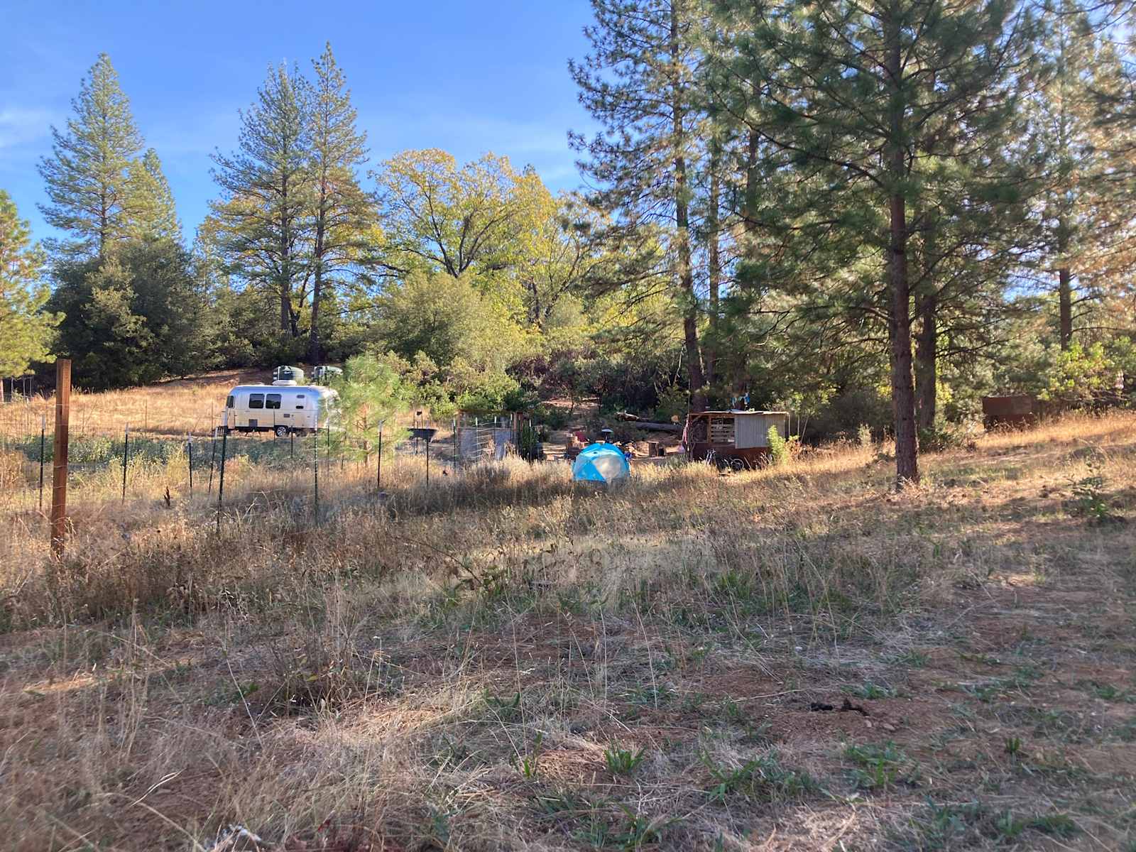 Mighty Farm & Camp - glamping.directory
