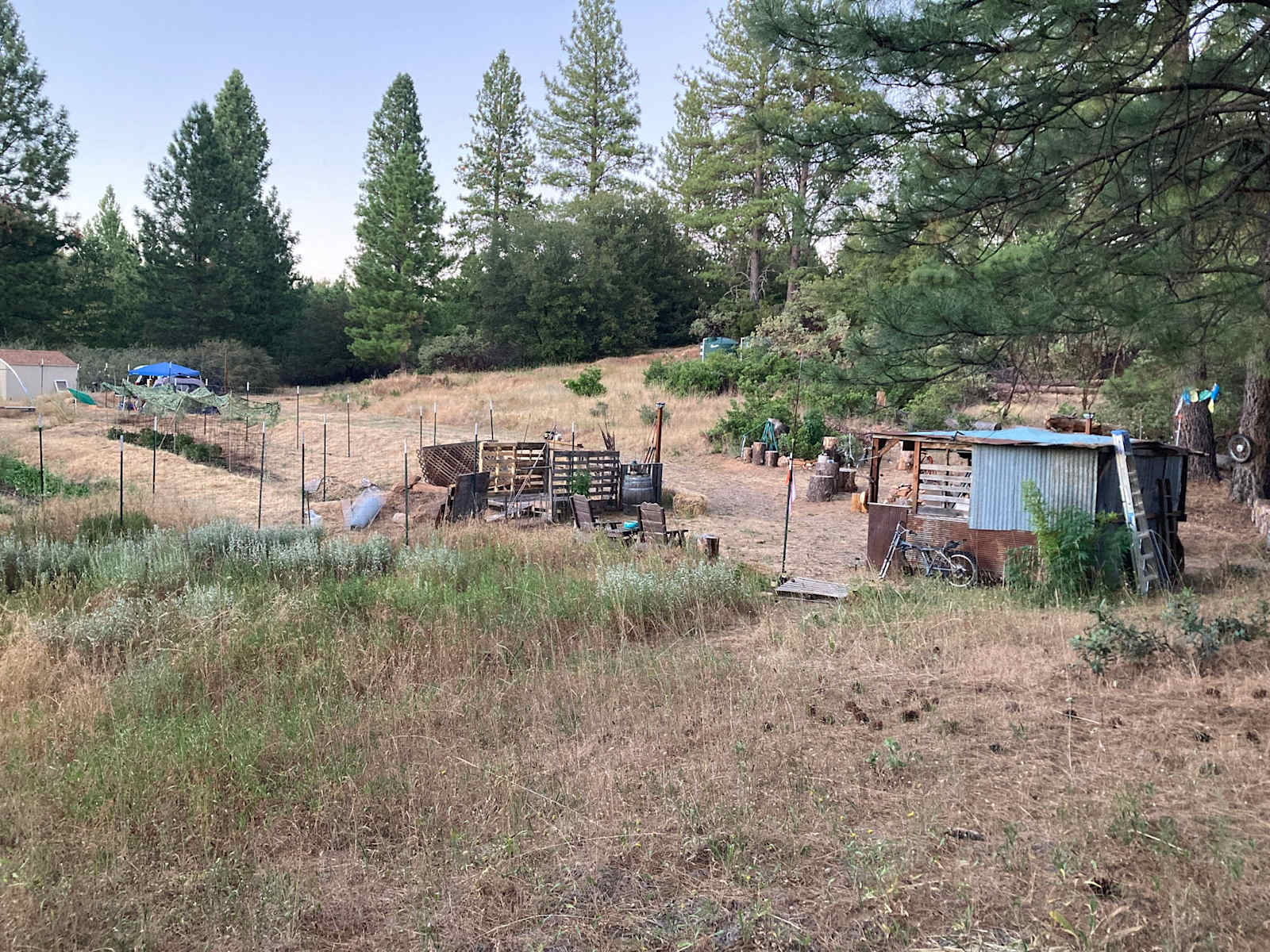 Mighty Farm & Camp - Forest Meadows, California - glamping.directory