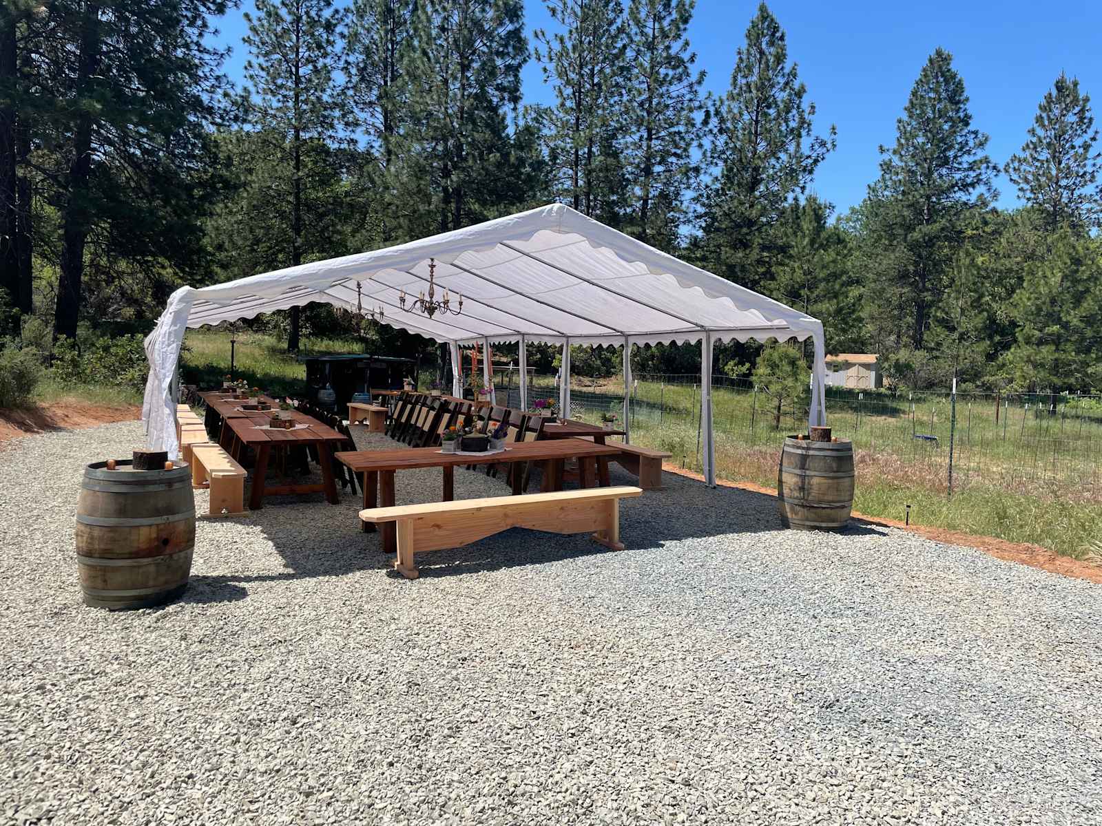 Mighty Farm & Camp - Forest Meadows, California - glamping.directory