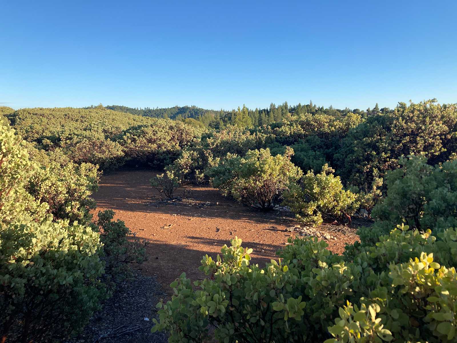 Mighty Farm & Camp - Forest Meadows, California - glamping.directory