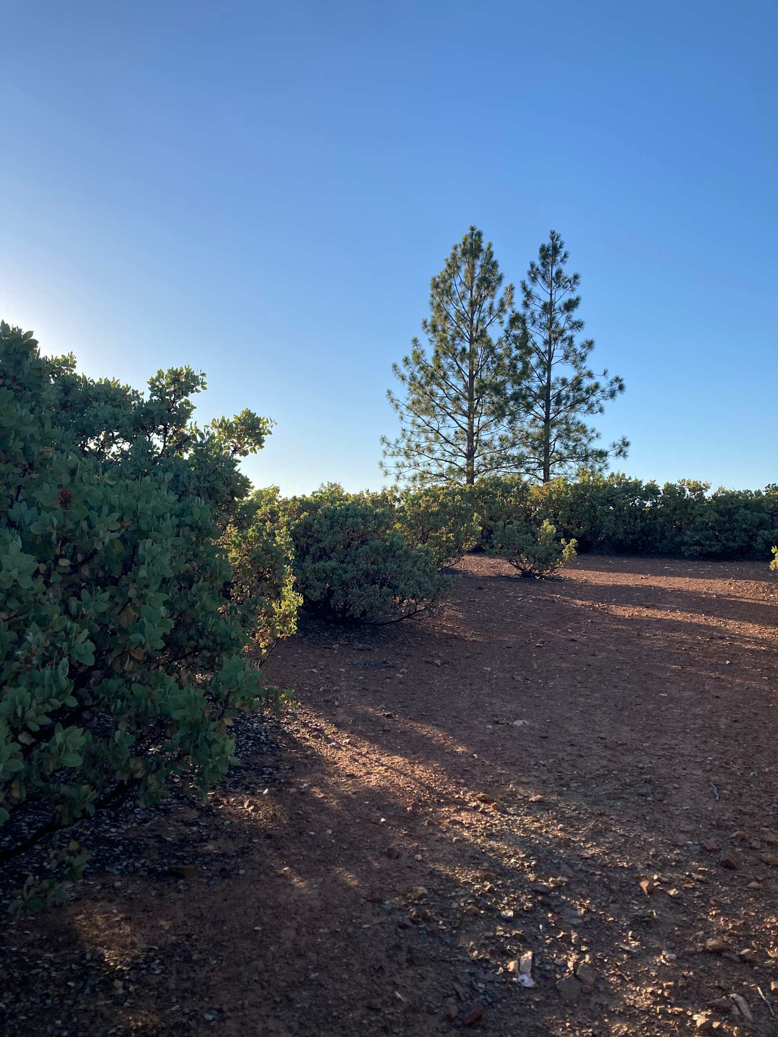 Mighty Farm & Camp - Forest Meadows, California - glamping.directory