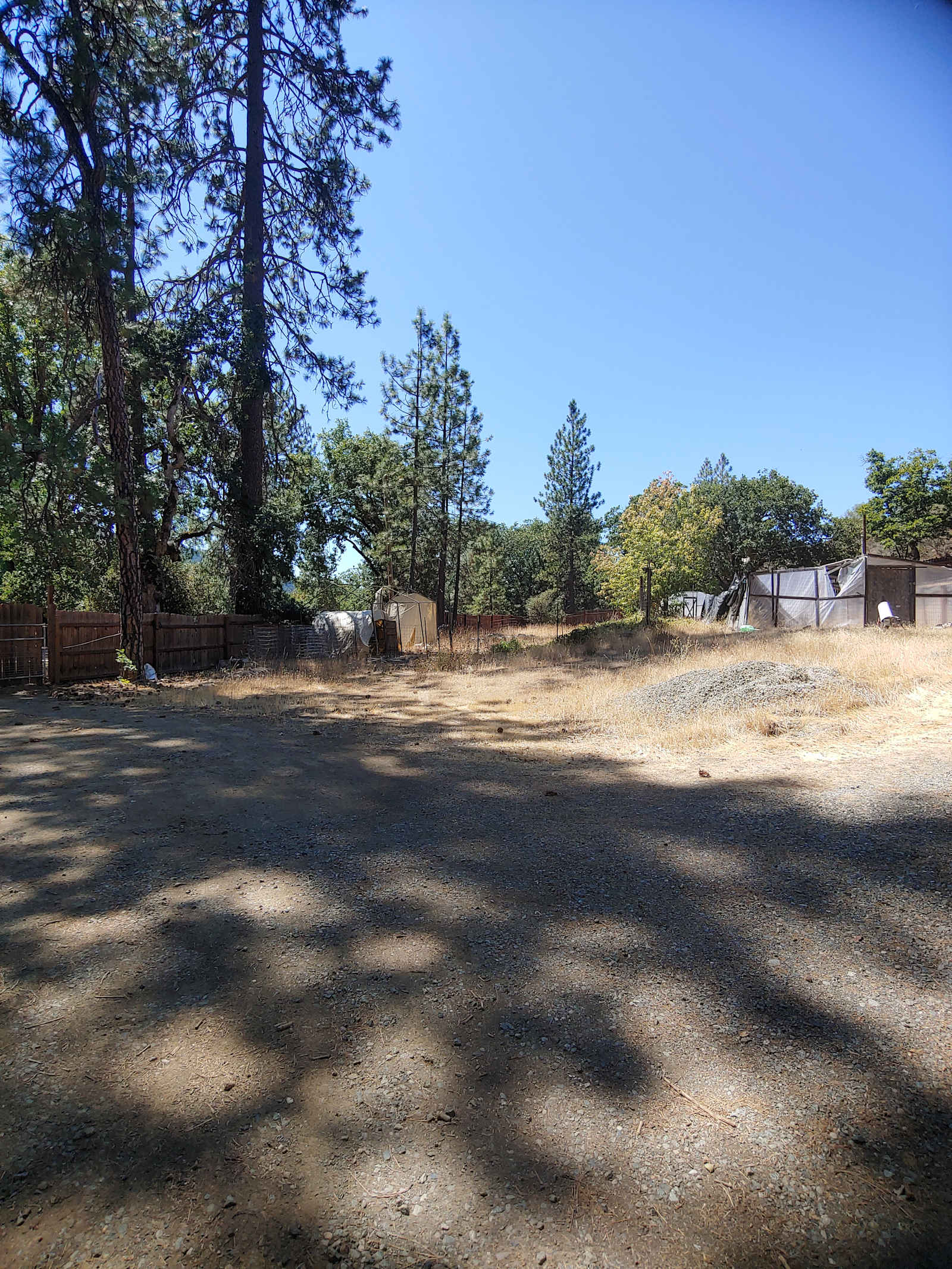 The Grove of Mystic Moon Tree - Hayfork, California - glamping.directory