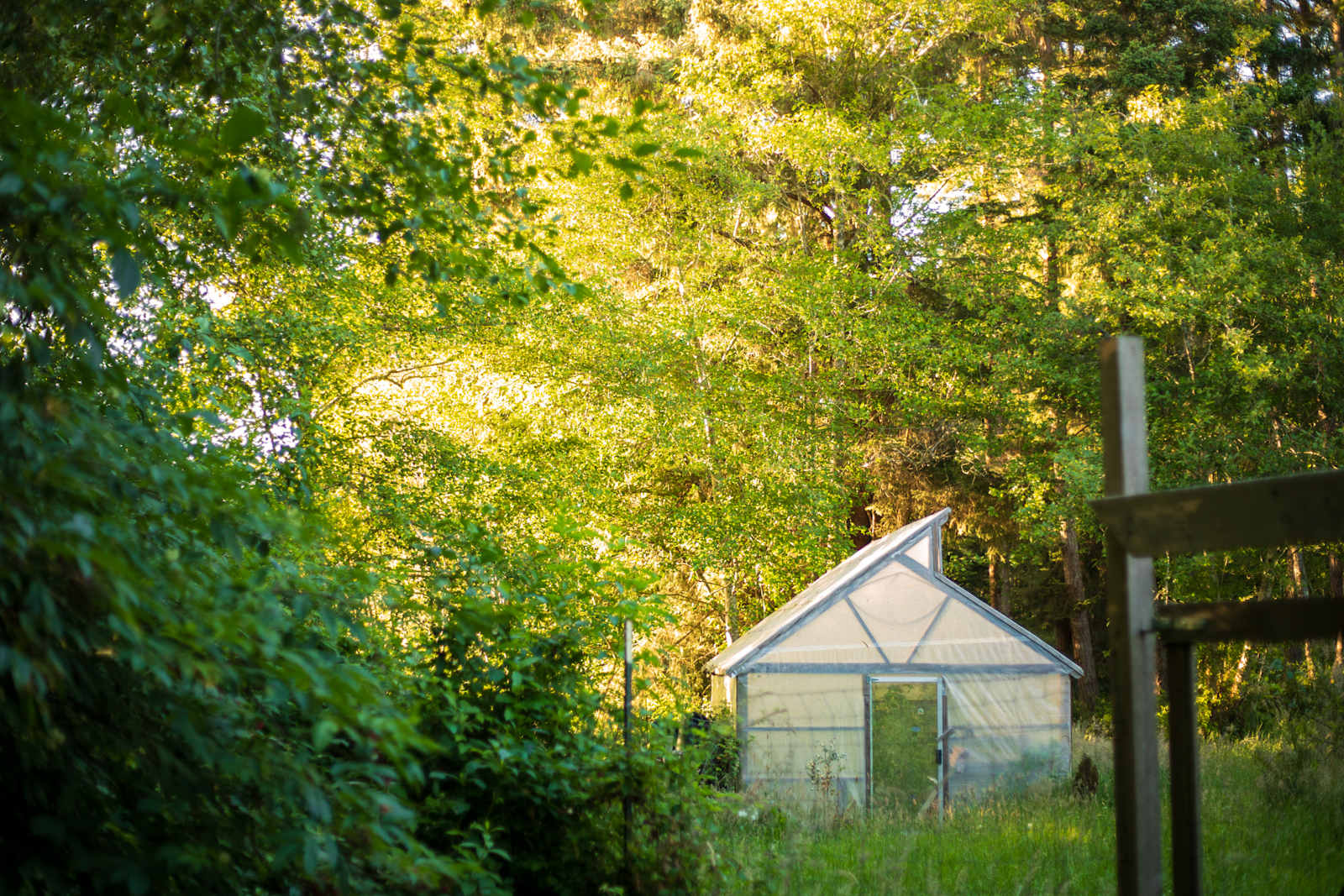 Bayside Cabin - Arcata, California - glamping.directory
