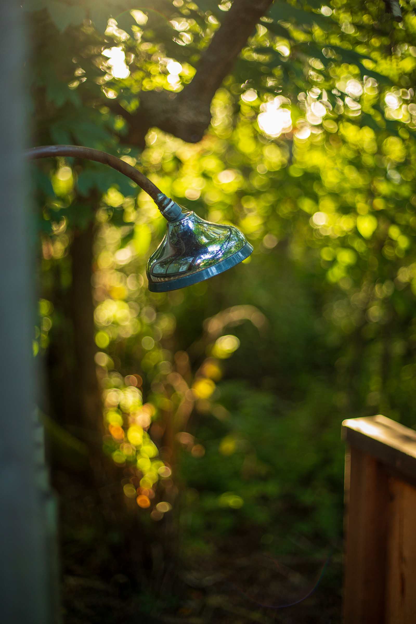 Bayside Cabin - Arcata, California - glamping.directory