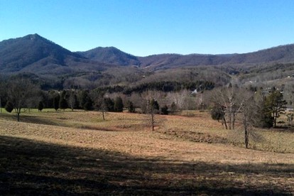 Rustic Cabin Rental with a Fireplace near Kingsport in Rogersville, Tennessee - Rogersville, Tennessee - glamping.directory