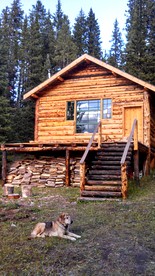 Hand-Built Camping Cabin near Yellowstone National Park, Montana - Cooke City, Montana - glamping.directory