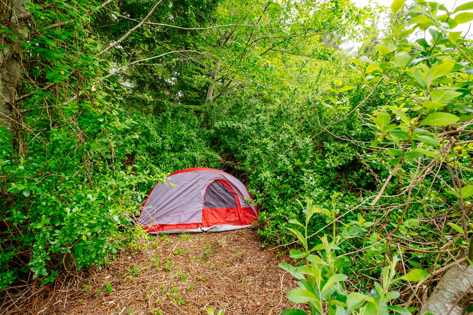 Redwoods Hostel & Campground - Crescent City, California - glamping.directory