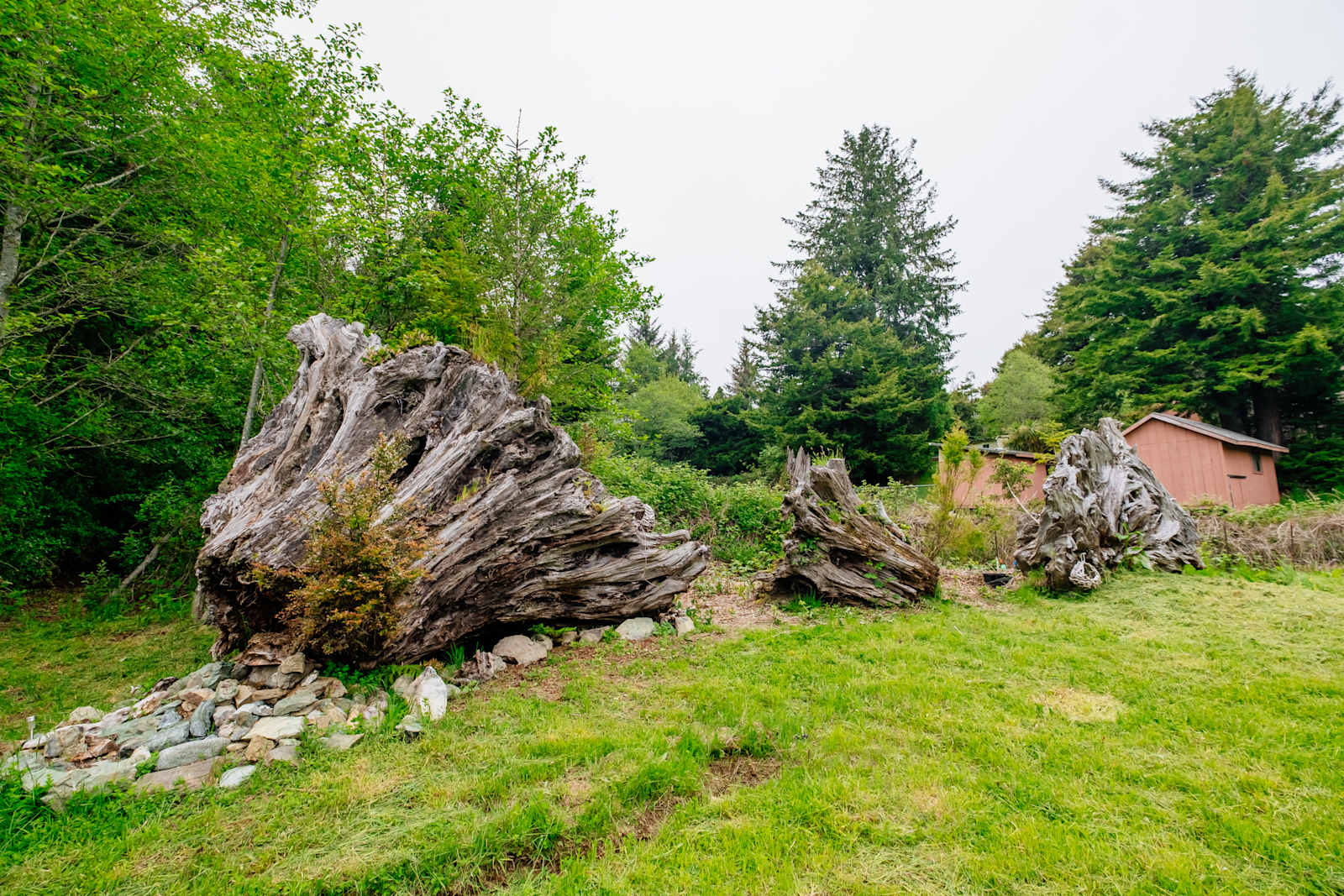 Redwoods Hostel & Campground - Crescent City, California - glamping.directory