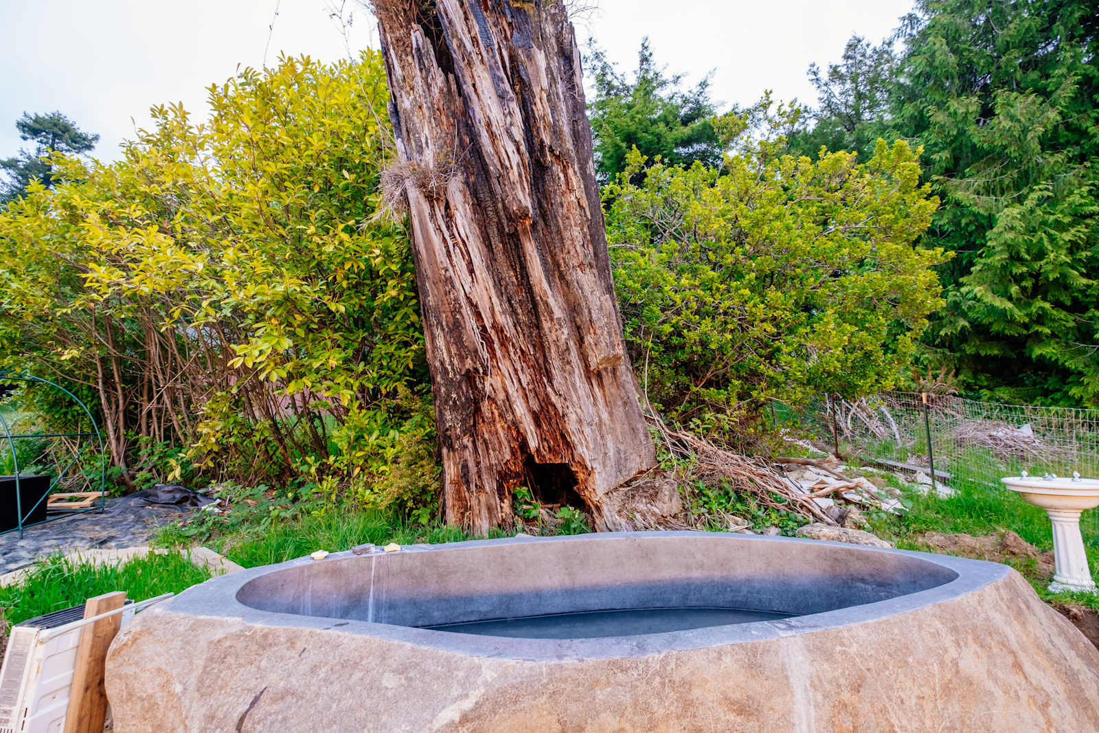 Redwoods Hostel & Campground - Crescent City, California - glamping.directory
