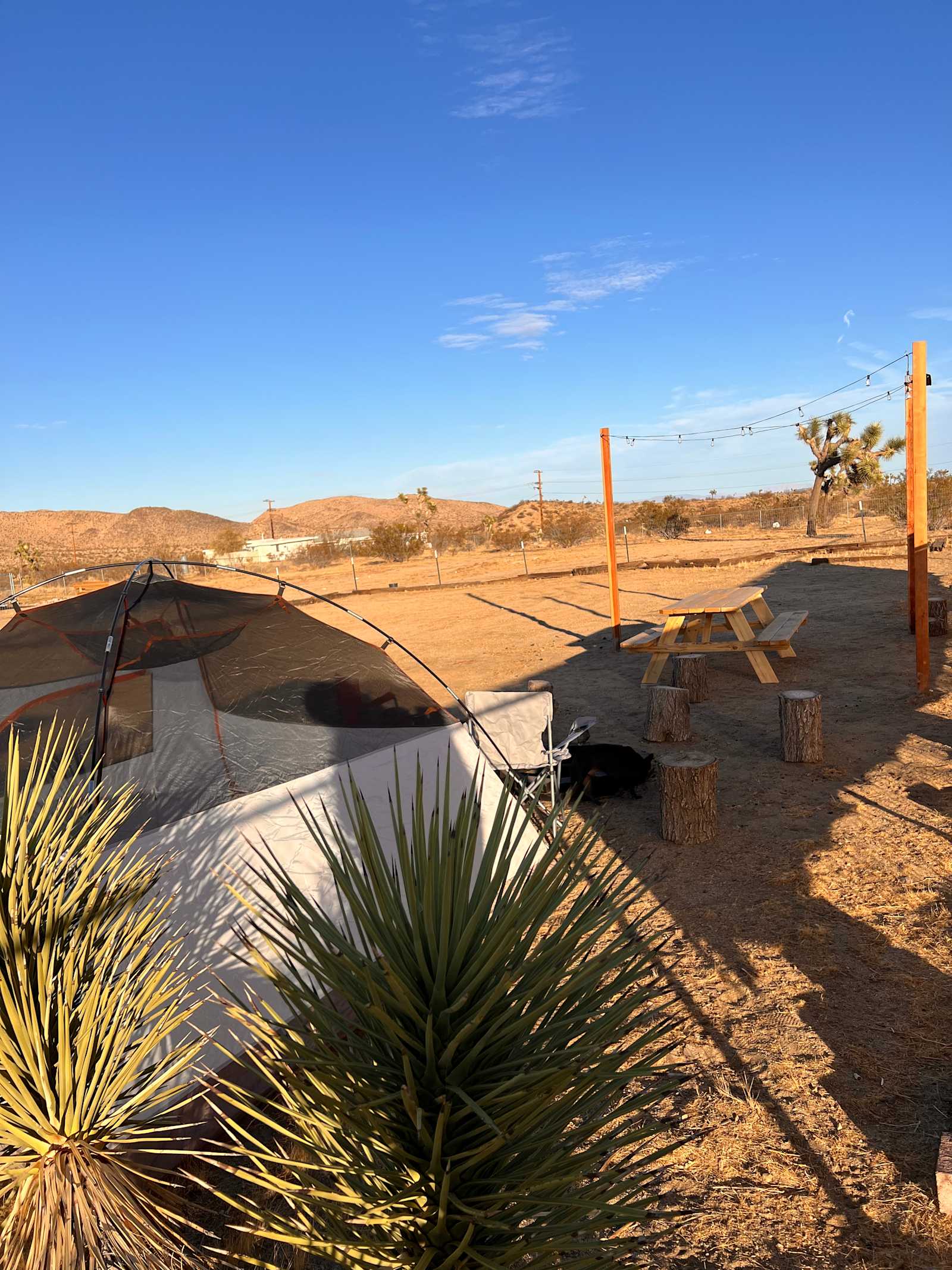 Rancho de Marvin - Yucca Valley, California - glamping.directory