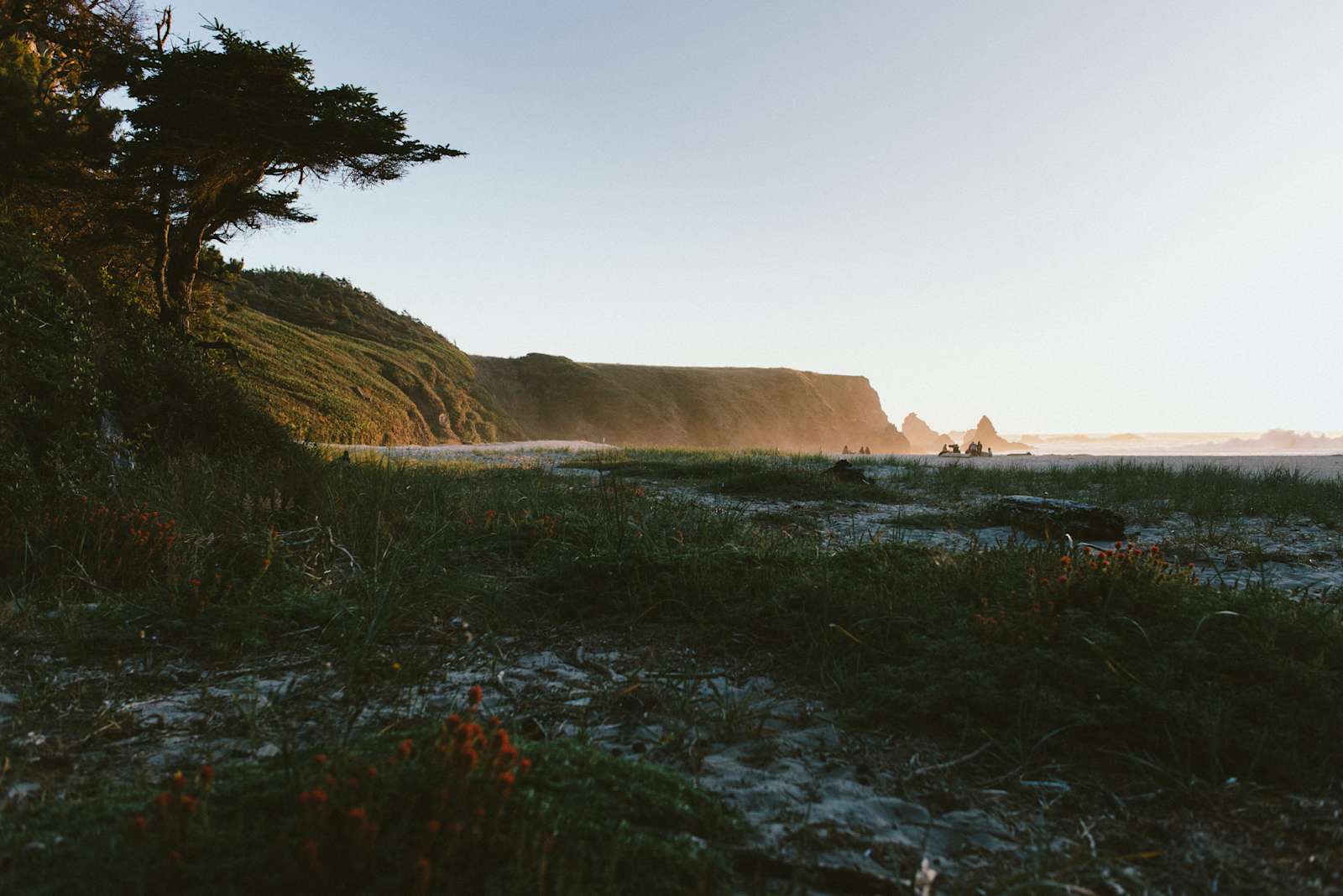 Jug Handle Creek Nature Center - Caspar, California - glamping.directory