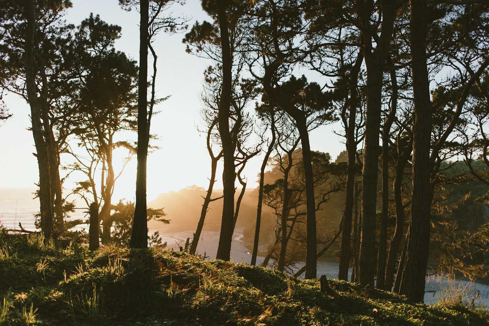 Jug Handle Creek Nature Center - Caspar, California - glamping.directory