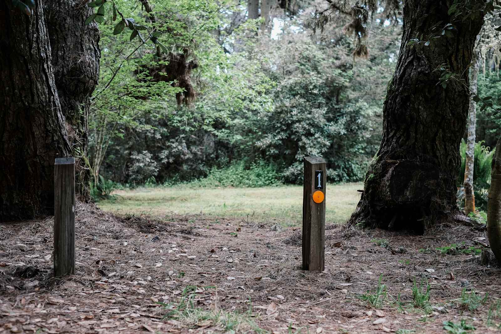 Jug Handle Creek Nature Center - Caspar, California - glamping.directory