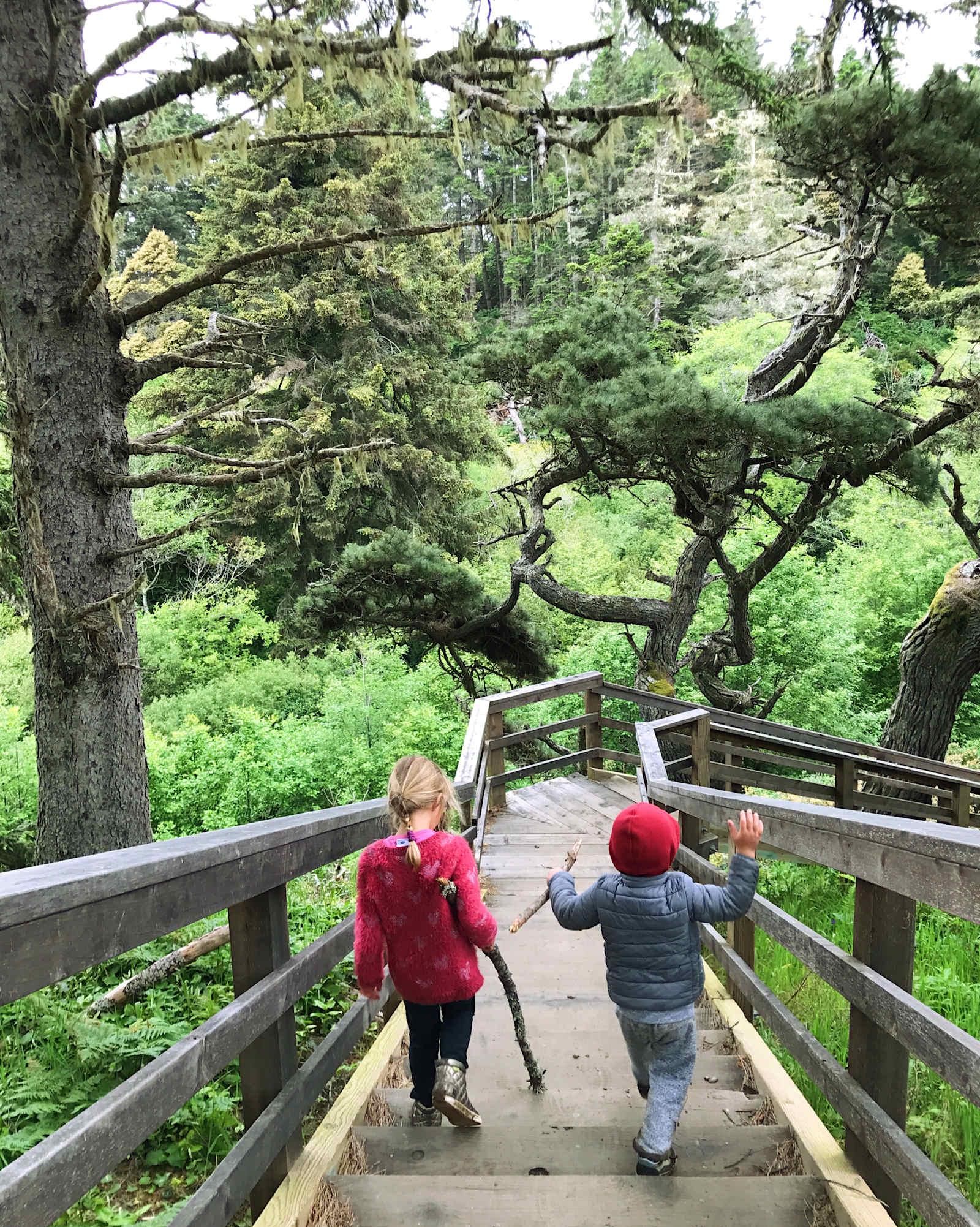 Jug Handle Creek Nature Center - Caspar, California - glamping.directory