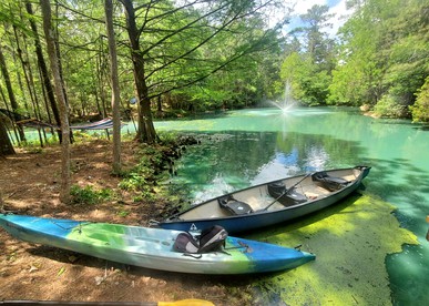 Fun for All Ages: Treehouse with Waterfront Deck for Families in Grimes County, TX - Grimes County, Texas - glamping.directory