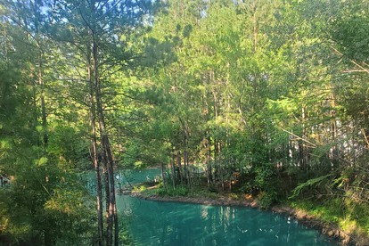 Fun for All Ages: Treehouse with Waterfront Deck for Families in Grimes County, TX - Grimes County, Texas - glamping.directory