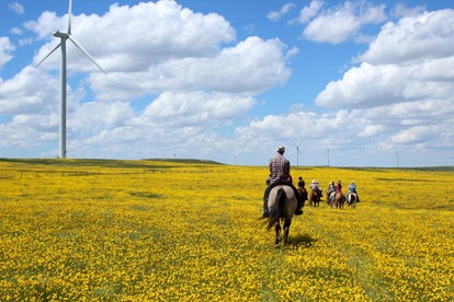 Ranch Getaway near the Pawnee National Grasslands in Colorado - New Raymer, Colorado - glamping.directory