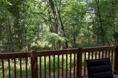Deluxe Cabin Nestled in the Woods in Livingston, Texas - Livingston, Texas - glamping.directory