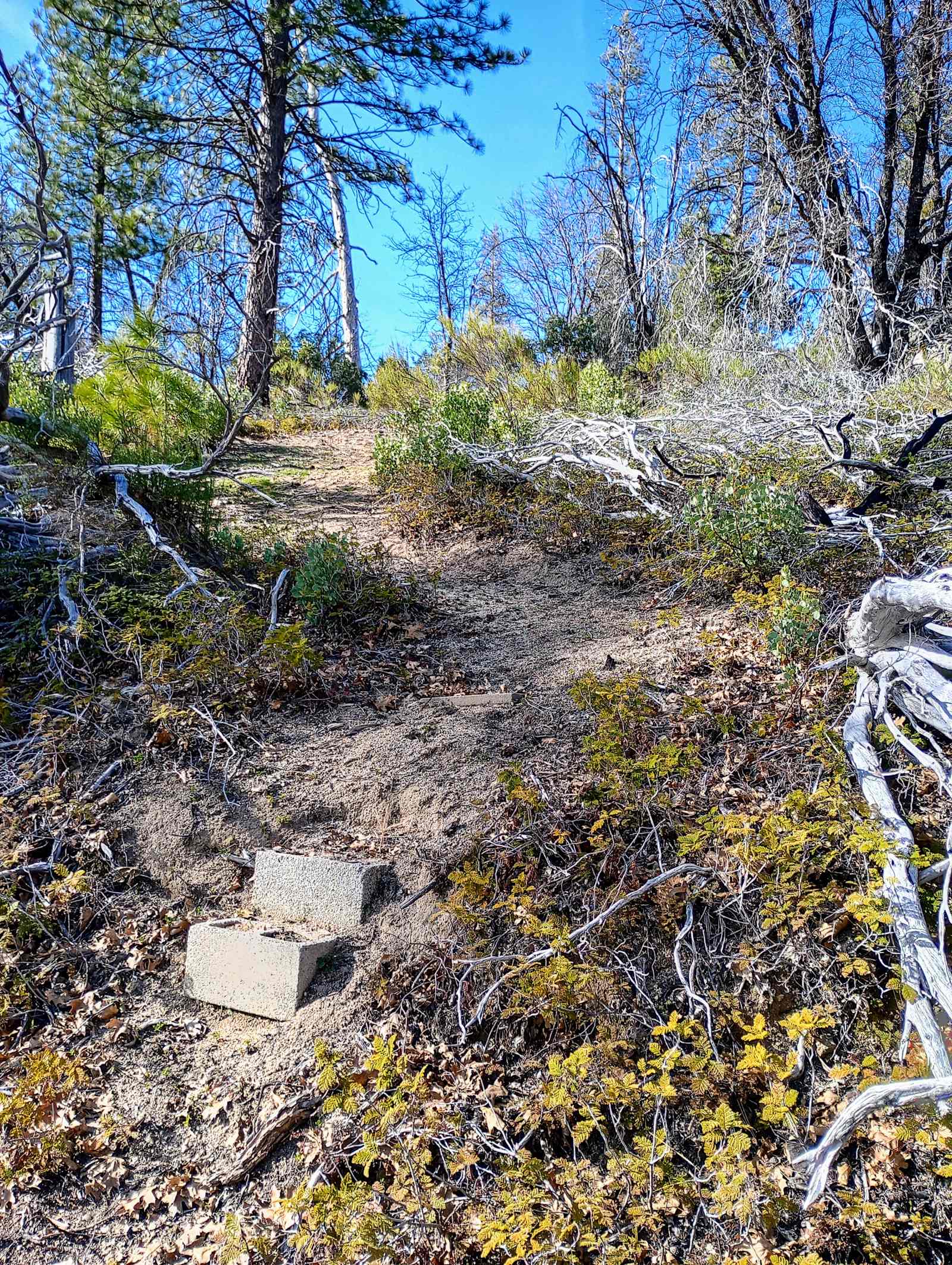 Camping At Yosemite's Doorstep - Groveland, California - glamping.directory