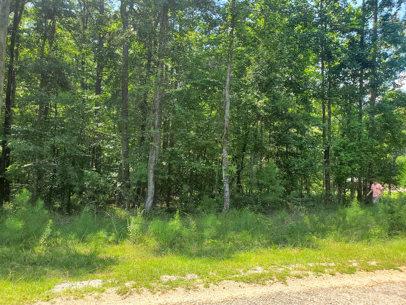 Auburn, Lake Martin, Tent or RV 🦅 - Dadeville, Alabama - glamping.directory