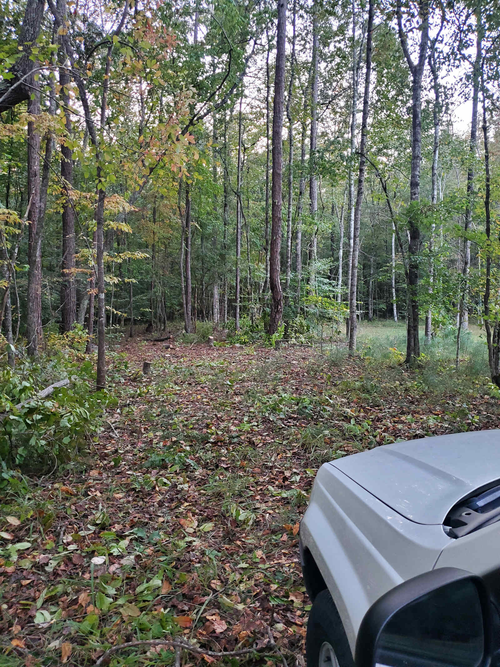 Auburn, Lake Martin, Tent or RV 🦅 - Dadeville, Alabama - glamping.directory