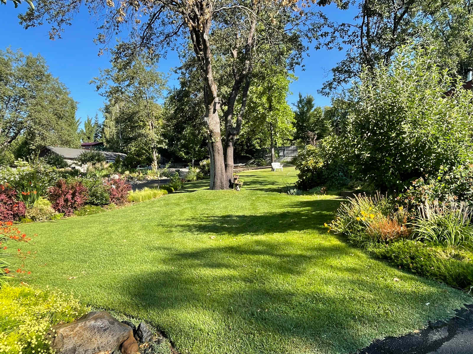 Bear Camp On Mount Shasta - Mount Shasta, California - glamping.directory