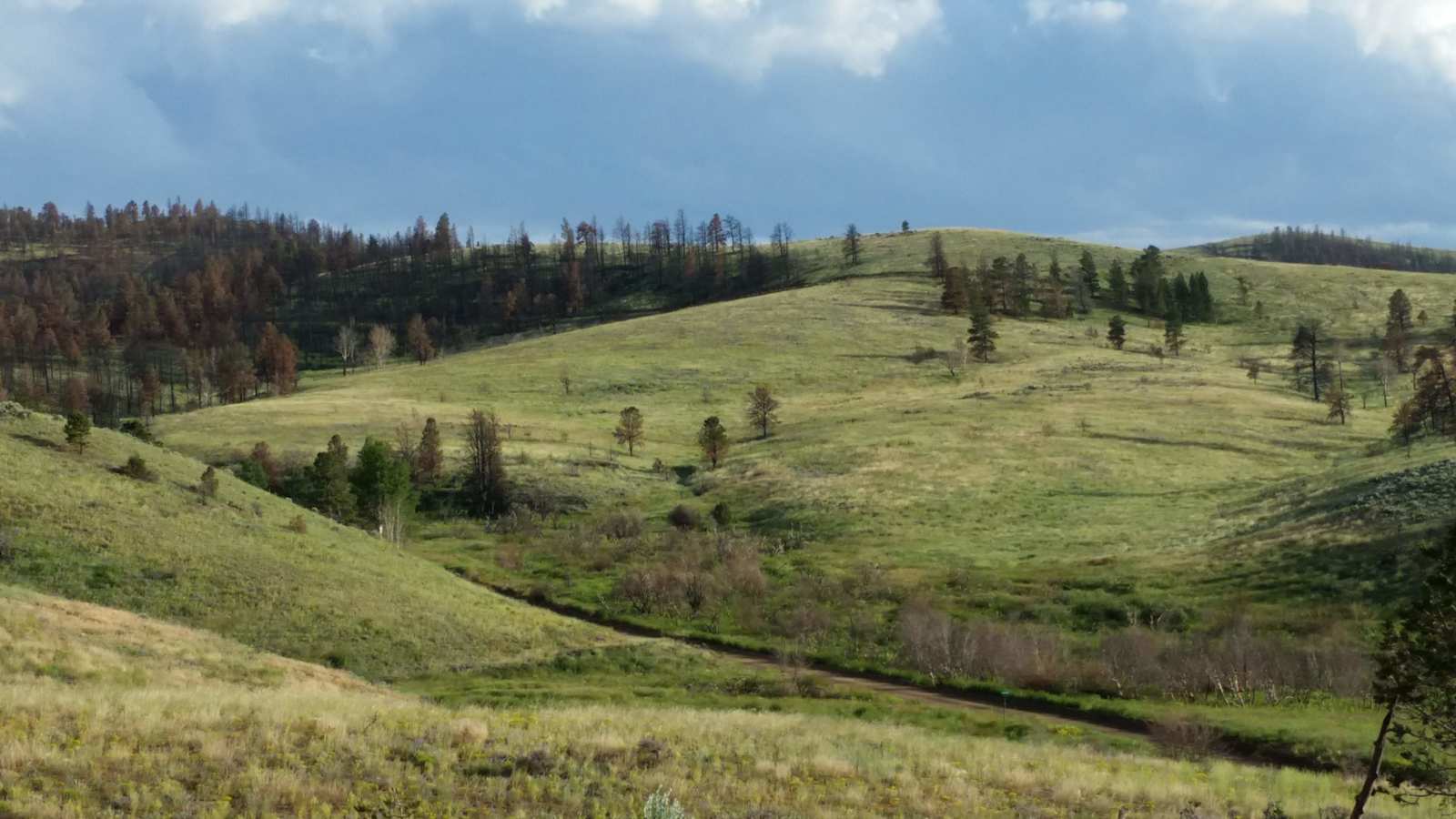Coyote Canyon Mountain Base Camp - Fort Garland, Colorado - glamping.directory