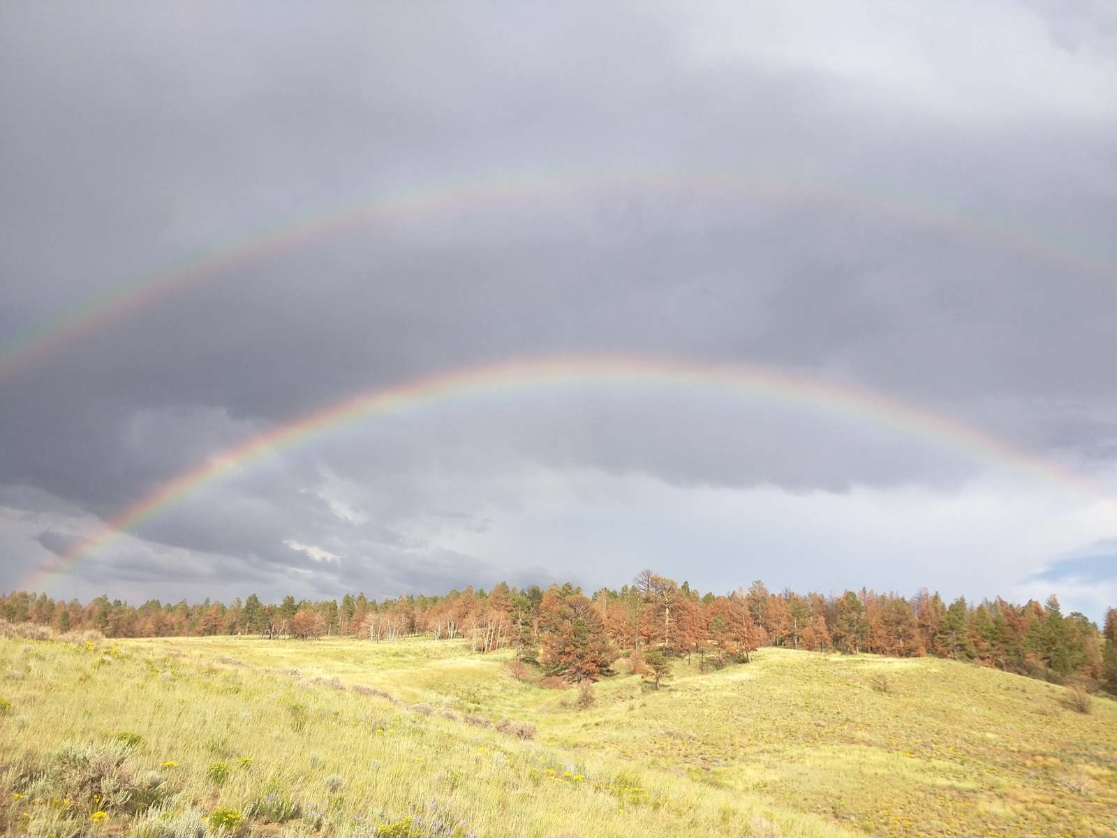 Coyote Canyon Mountain Base Camp - Fort Garland, Colorado - glamping.directory