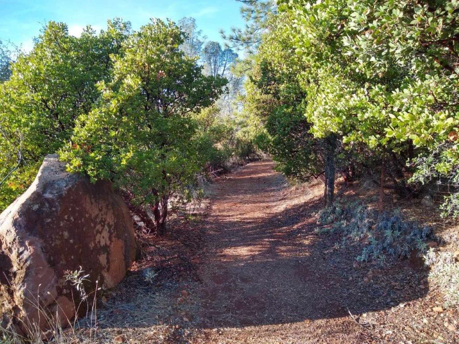 Bliss Mountain - Middletown, California - glamping.directory