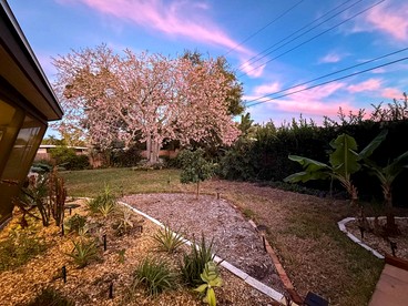 Private Oasis with Lanai and Lounge Space in Sarasota, Florida - Sarasota, Florida - glamping.directory