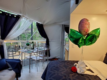 Double Dome for a Glamping Getaway in Lincolnton, Georgia - Lincolnton, Georgia - glamping.directory