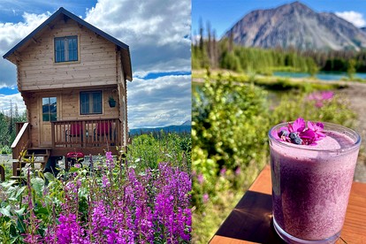 Eco-Friendly Lakefront Tiny House with Views of Panorama Mountain near Denali National Park - Cantwell, Alaska - glamping.directory