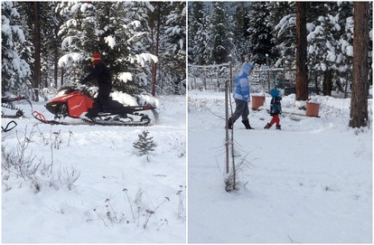 Cozy Log Cabin Rental in a Secluded Forest in Mineral County, Montana - Superior, Montana - glamping.directory