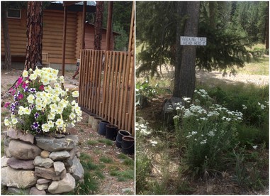 Cozy Log Cabin Rental in a Secluded Forest in Mineral County, Montana - Superior, Montana - glamping.directory