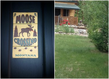Cozy Log Cabin Rental in a Secluded Forest in Mineral County, Montana - glamping.directory