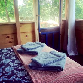 Relaxing Tiny Cabin on Organic Farm near Asheville, North Carolina - Weaverville, North Carolina - glamping.directory