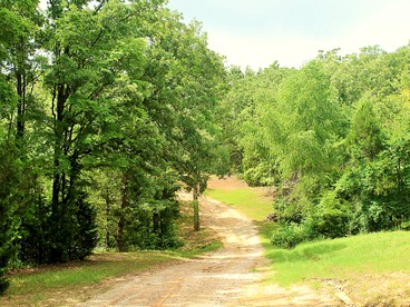 Cozy Lakeside Cabin Rental on 700-Acre Ranch near Dallas, Texas - Eustace, Texas - glamping.directory
