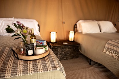 Rustic Vineyard Glamping Tent with Wine Tastings near Lakes and Trails in Currie, Minnesota - Minneapolis, Minnesota - glamping.directory