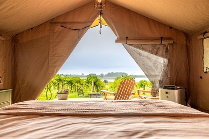 Rustic Vineyard Glamping Tent with Wine Tastings near Lakes and Trails in Currie, Minnesota - Minneapolis, Minnesota - glamping.directory