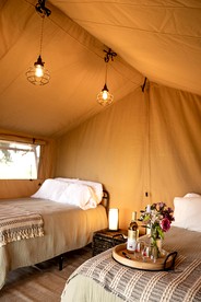 Rustic Vineyard Glamping Tent with Wine Tastings near Lakes and Trails in Currie, Minnesota - Minneapolis, Minnesota - glamping.directory