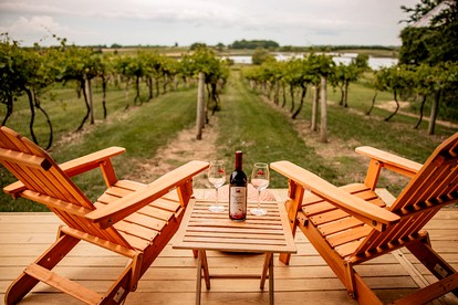 Rustic Vineyard Glamping Tent with Wine Tastings near Lakes and Trails in Currie, Minnesota - Minneapolis, Minnesota - glamping.directory