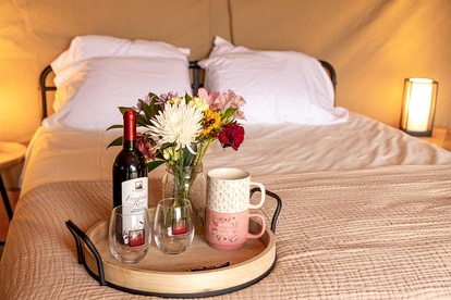Rustic Vineyard Glamping Tent with Wine Tastings near Lakes and Trails in Currie, Minnesota - Minneapolis, Minnesota - glamping.directory