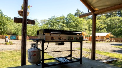 Gorgeous Copalis Beach Resort Ideal for Glamping in Washington State - Copalis Beach, Washington - glamping.directory
