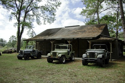 Forested Wood Cabin near Ocala National Forest in Central Florida - Fort McCoy, Florida - glamping.directory