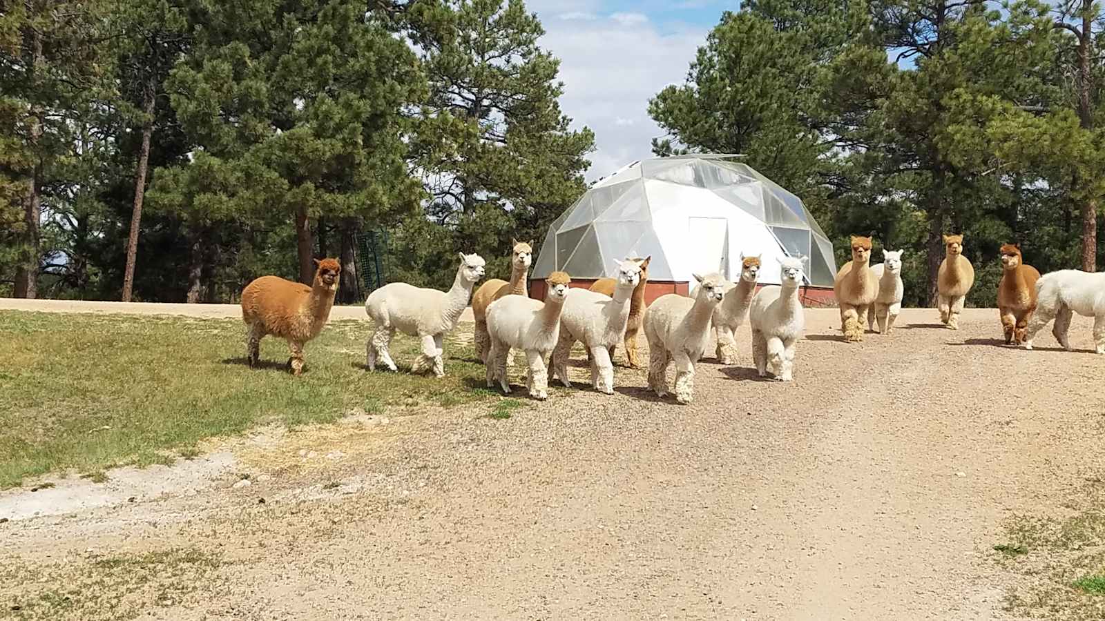 Falkor Ranch - Elizabeth, Colorado - glamping.directory