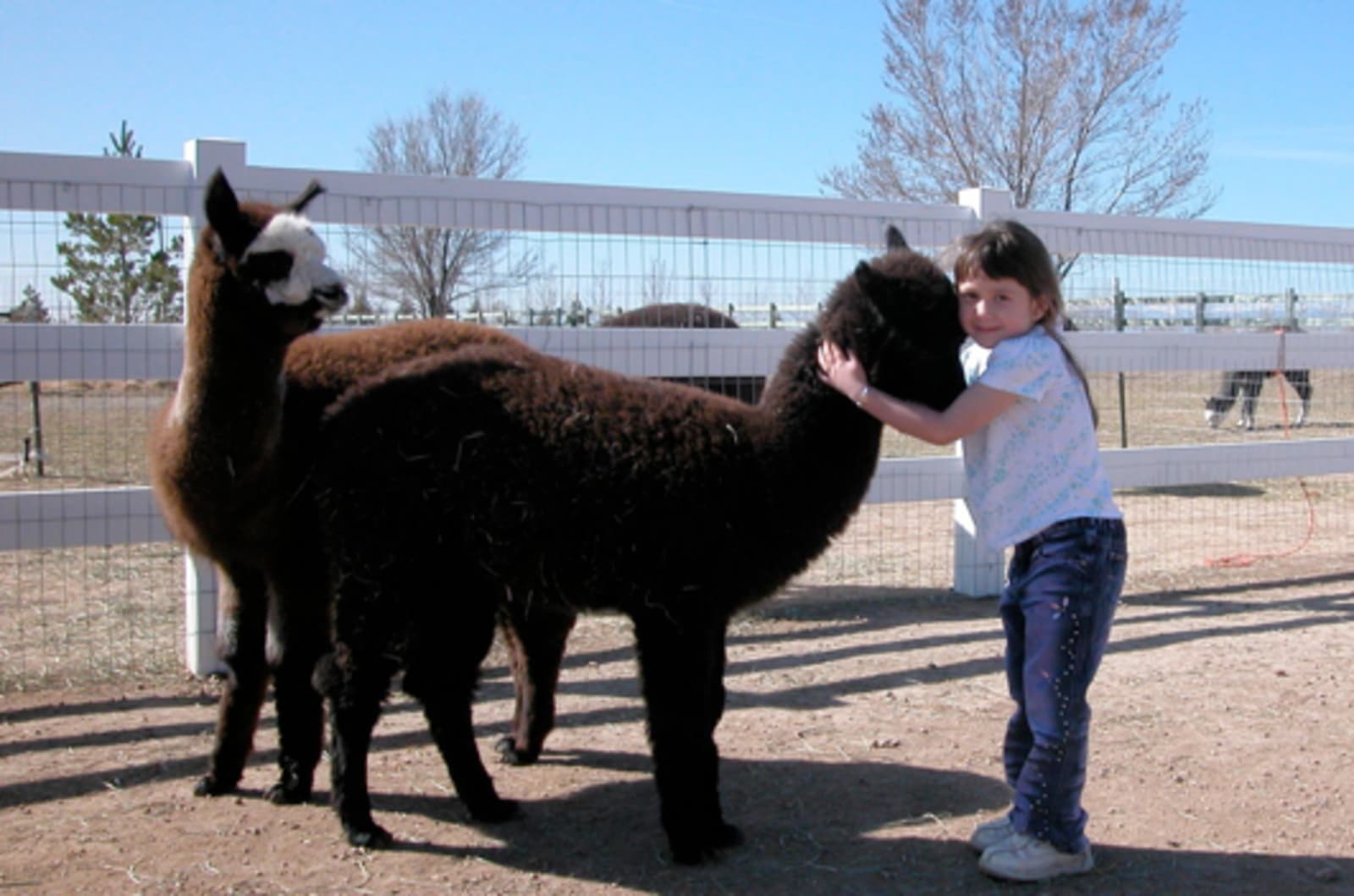 Falkor Ranch - Elizabeth, Colorado - glamping.directory