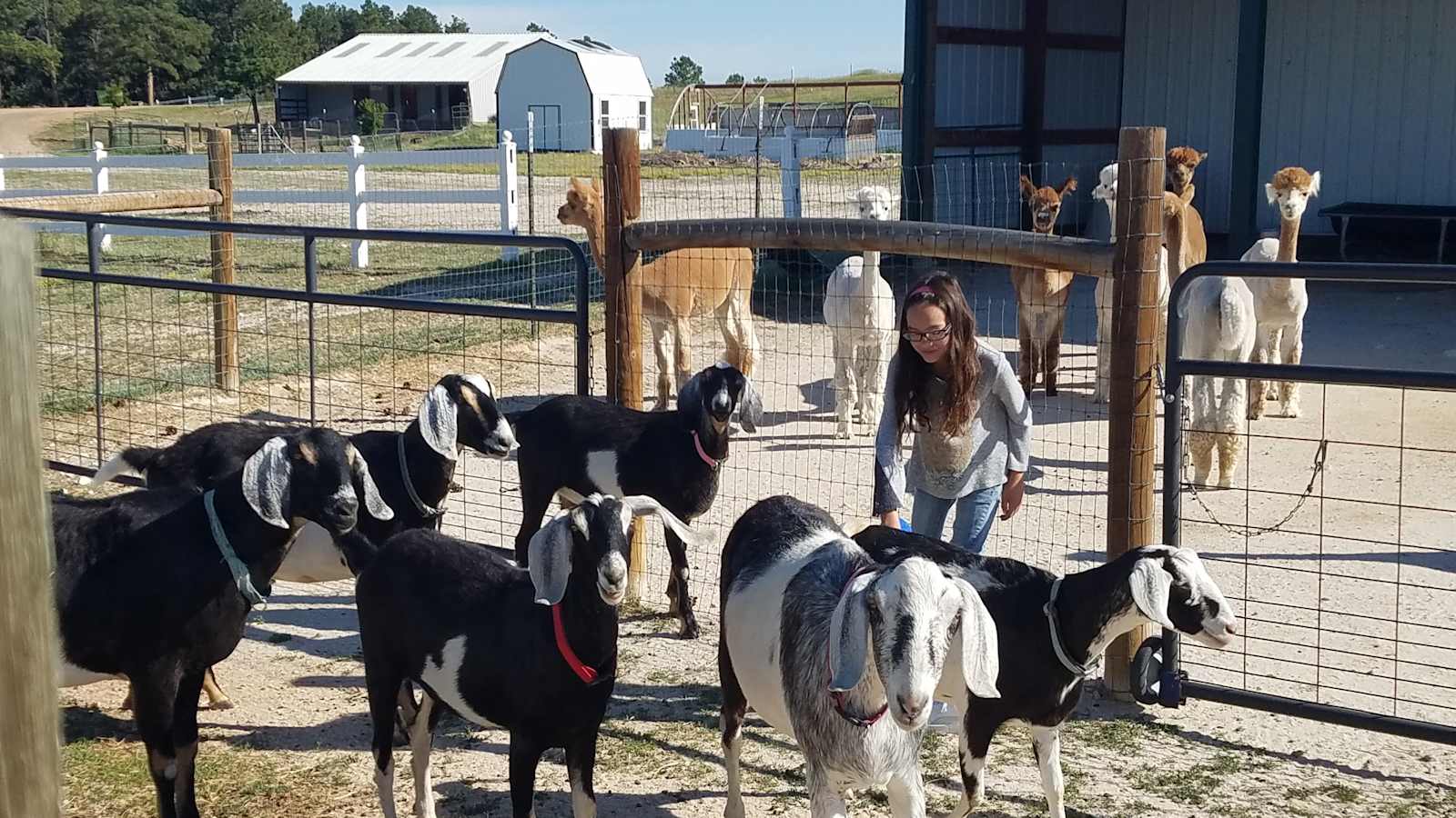 Falkor Ranch - Elizabeth, Colorado - glamping.directory