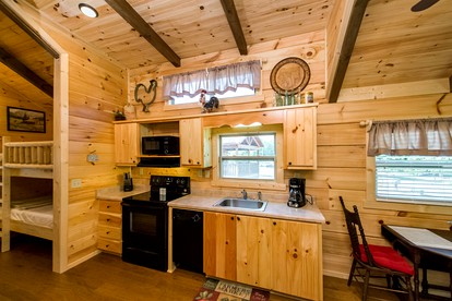 Stunning Cabin Close to Tryon and the Foothills of Mill Spring near Lake Lure, North Carolina - Mill Spring, North Carolina - glamping.directory