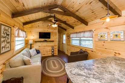 Stunning Cabin Close to Tryon and the Foothills of Mill Spring near Lake Lure, North Carolina - Mill Spring, North Carolina - glamping.directory